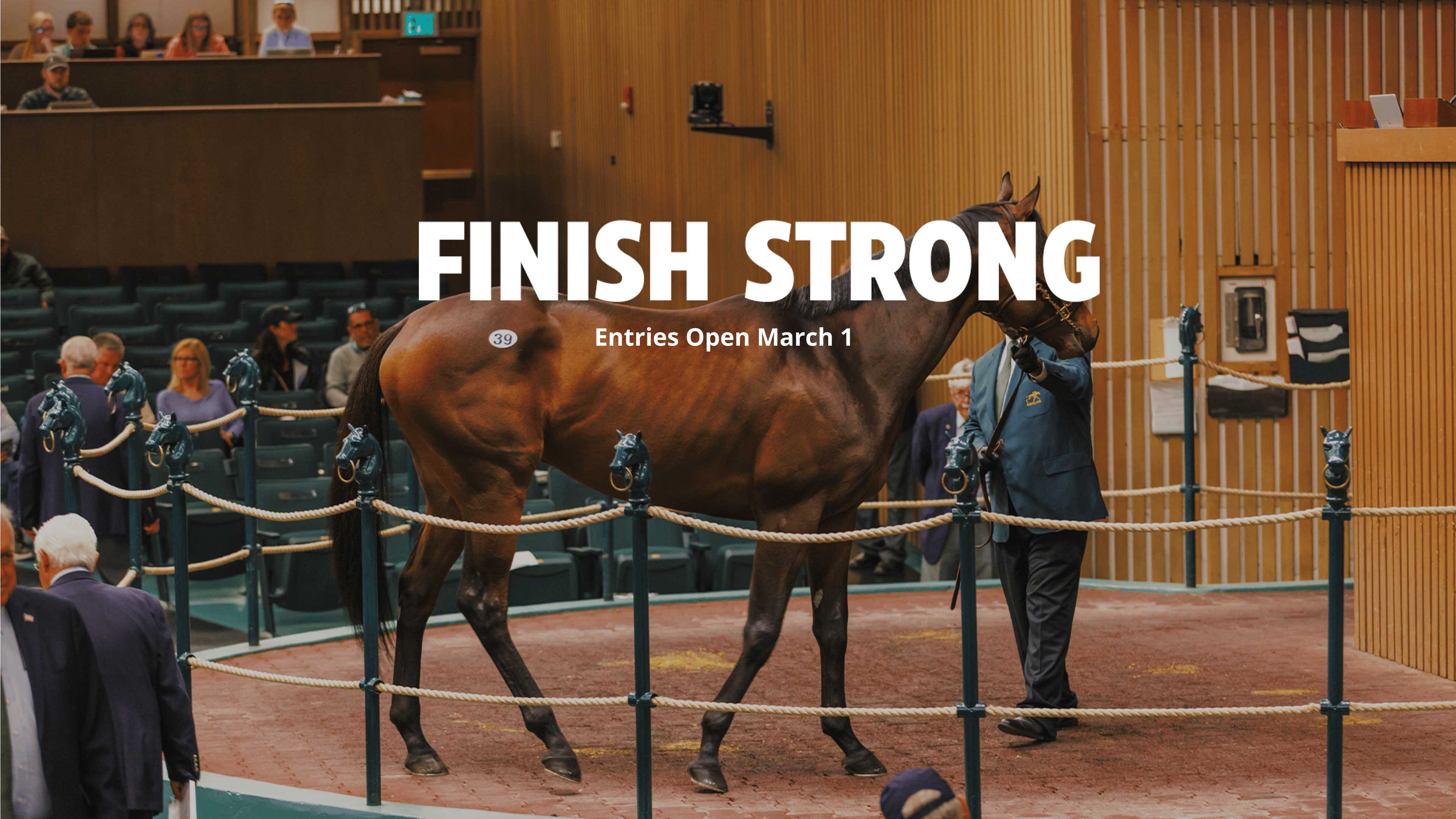Thoroughbred horse in Keeneland sales ring