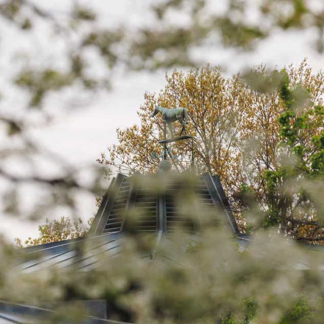 A view of the Keeneland sales pavilion weathervane obscured by tree branches