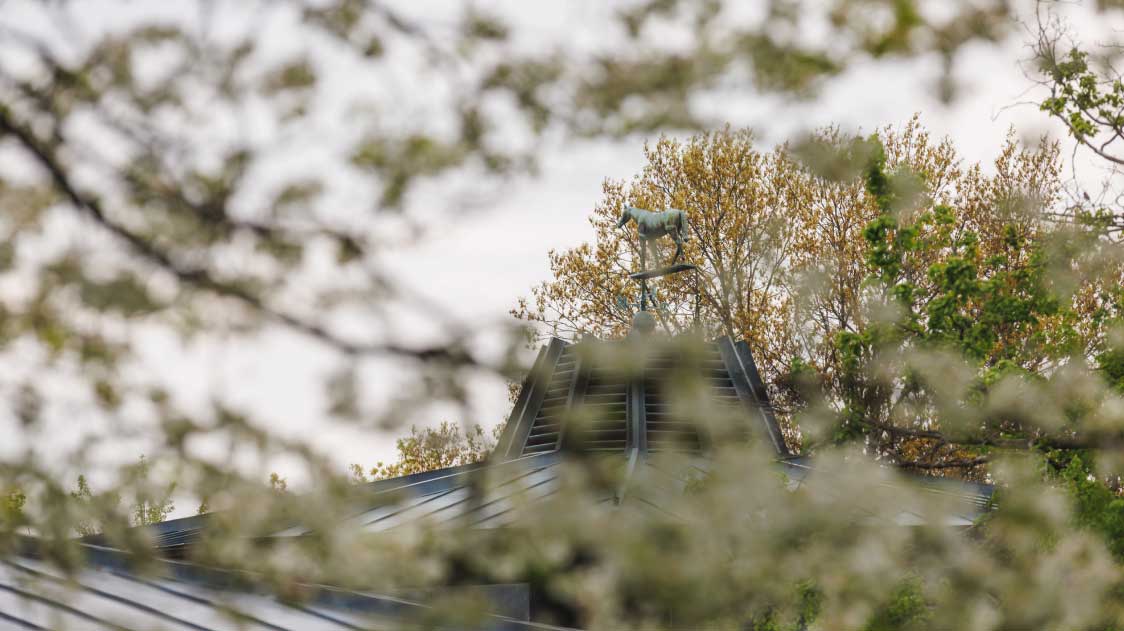 A view of the Keeneland sales pavilion weathervane obscured by tree branches